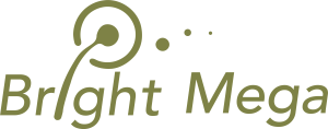 Bright Mega Capital Corporation logo Bright Mega Capital Corporation